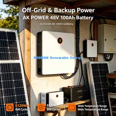 48V Wall Mount Lithium Battery Optional Bluetooth Mobile App Monitor SOC Temperature Data