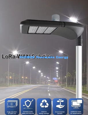 Φως δρόμου LED Smart Garden με ανθεκτικό στο νερό IP66, έξυπνο έλεγχο LoRaWAN και διάρκεια ζωής 100000 ωρών για εξωτερικό ηλιακό φωτισμό