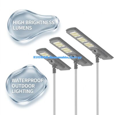 Το All In One LED Solar Street Light 220lm/W IP65 Αδιάβροχο με 2-3 βροχερές ημέρες για οδικό και κηπουρικό φωτισμό