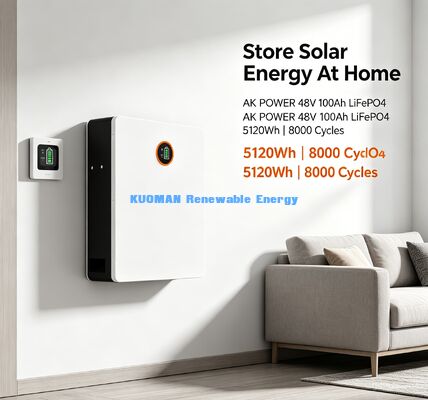 48V Wall Mount Lithium Battery Optional Bluetooth Mobile App Monitor SOC Temperature Data